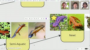 We are back and more evolved than ever. Join us to get an inside scoop at Reality Reboot and dive into Amphibian content