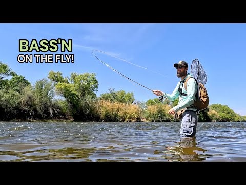 Fly Fishing High & Fast Water for LARGEMOUTH BASS!