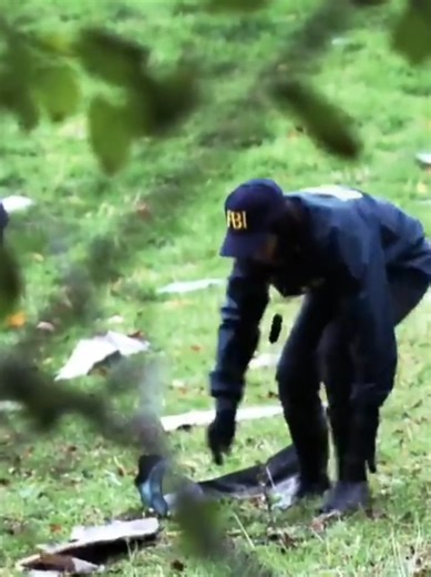 In-Depth Investigation of Plane Crashes