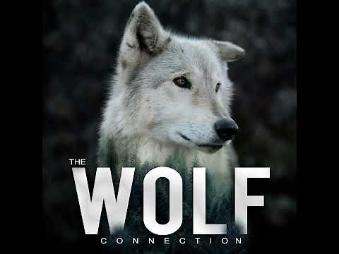 Episode #46 Jim & Jamie Dutcher - Living With Wolves