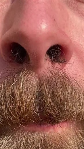 What are the consequences of not trimming nose hair?