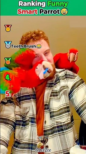 smart parrot #ranking #smartanimals #parrot