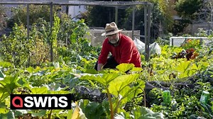 'Most sought after' allotments in the UK - where people wait years to get a chance to grow their own