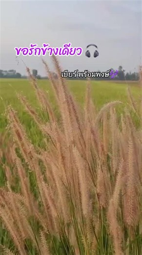 ขอรักข้างเดียว เบียร์ พร้อมพงษ์ - ฟังเพลงลูกทุ่งฮิต