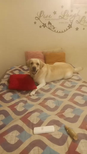 Hulk is talking about my injection experience 😁😁