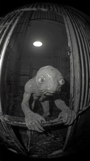 Forgotten Vault – The Amphibian Subject (Cell B-12) | #shorts #tenebriscontactum