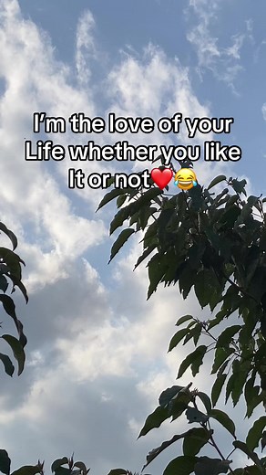 I’m the Love of Your Life — Bold Romantic Message
