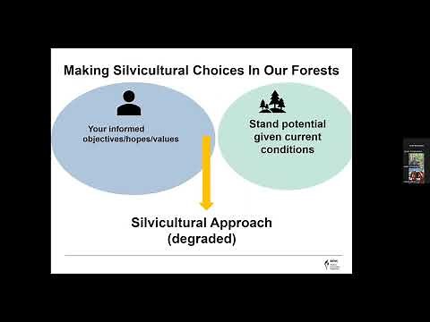Recognizing and Restoring Degraded Forest Stands