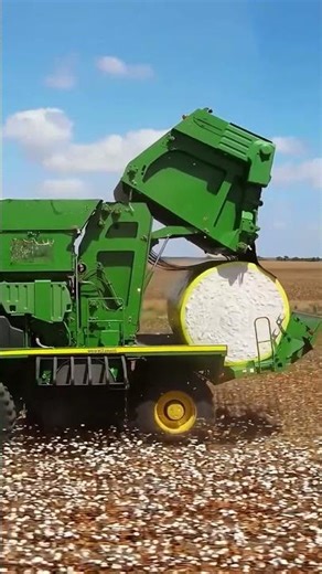 Modern Agriculture: Incredible Cotton Harvesting with High-Tech Machinery 🚜🌾