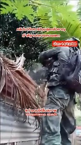 #story :ทหารไทยสู้ยิบตาไม่กลัวตุยเลย👍✌🏻🇹🇭