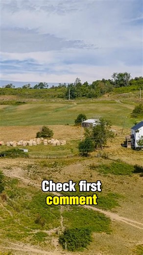 10K views · 122 reactions | Panoramic 170-Acre Farm with Older Two-Story Home & Bank Barn & Shed, Open & Wooded Land | Forgotten ,Abandoned | Facebook