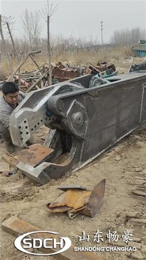 OEM Service Heavy-Duty Excavator Hydraulic Eagle Shear in Action