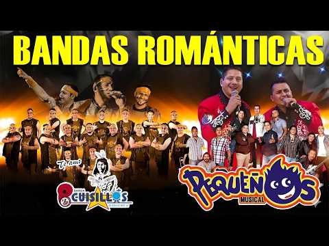 👑 BANDA CUISILLOS Y PEQUEÑOS MUSICAL - BANDAS ROMÁNTICAS MIX 🎺 Puro Amor Con Las Bandas Más Matonas