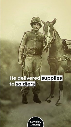 5 Most Famous Horses in History