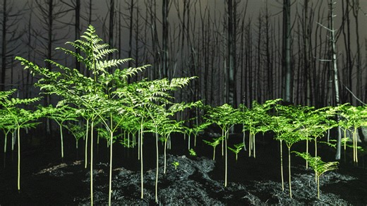 AI and technology played a pivotal role in reshaping the creative landscape in 2023, however the heart of visual storytelling remains rooted in authenticity and human creativity. Through our ongoing VisualGPS research and proprietary data, Getty Images and iStock are committed to empowering our content creators with the valuable insights that bring global narratives to life, as well as providing our customers with the tools and data‑backed insights they need to ideate and execute seamlessly. Get