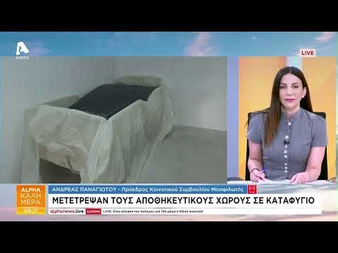 Καταφύγιο πρότυπο στη Μοσφιλωτή με ενέργειες του συμβουλίου | AlphaNews Live