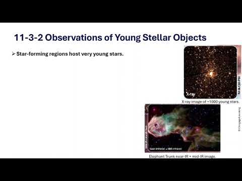 Formation and Structure of Stars: Young Stellar Objects and ProtostellarDisks
