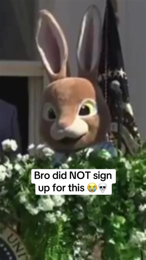 Def not part of the job description 🤦‍♂️ | i am easter bunny