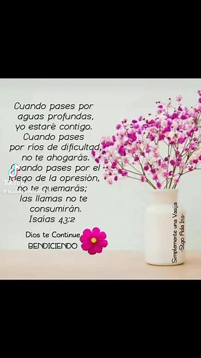 Maria Castro on Reels