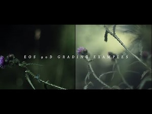 Grading examples from the Canon EOS 90D