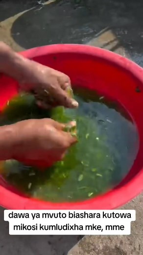 #fashion #reels #italy #france #usa #UnitedStates | Haki Kwako