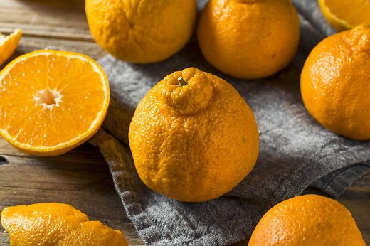What Is Sumo Citrus and Where Can You Buy It?