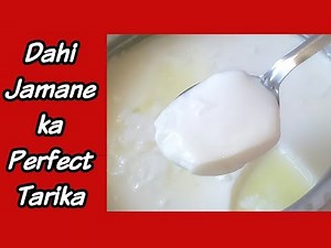 Dahi jamane ka perfect tarika with tips & tricks,How To Set Curd Perfectly,Dahi Kaise Jamaye,Sweta