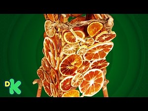 ¡Una lámpara hecha con naranjas! | Artzooka | Discovery Kids