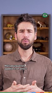 174K views · 5.6K reactions | Victor connaît bien sa partition et vous explique d'où vient le nom des notes de musique  | Epicurieux | Facebook