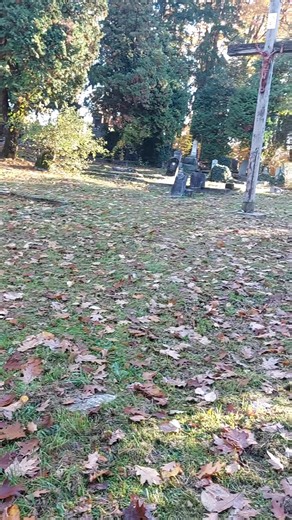 Slovensko pokopališče na Golovcu Celje. | Vito Poznič