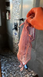 busted #bathday #humor #surprise | Tips, Tricks & Funny Clips