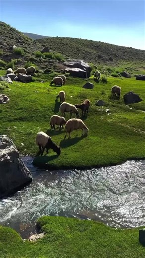 فيديوهات أنشأها ا͛م͛ن͛ــ❤ــــي͛ا͛ت🫀S (@hckernel3) باستخدام الصوت الأصلي - ذكر الله خير