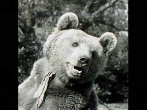 Wojtek the Soldier Bear - WWII