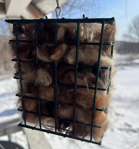Bird Nesting Box With Alpaca Fiber - New Size - Etsy