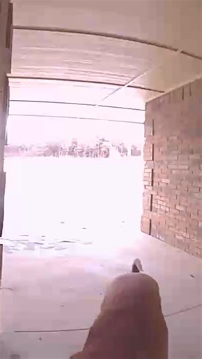 🚨 Pooch Pirate Alert 🚨 Who let the dogs out....and onto your porch?! Suspects: two four-legged masterminds pulling off a paws and grab heist in broad daylight. Evidence shows clear intent, flawless teamwork, and zero remorse—just pure tail-wagging confidence. They dragged the evidence off-site like pros, but we were able to recover the goods. It wasn't "Kibble & Bits", just drill bits! These thieves were no bark, all bite! If you recognize these fur-ocious felons give them a doggy biscuit. Cha