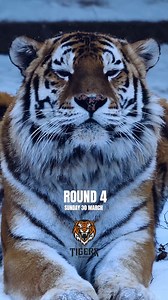 2025 Draw in less than 2mins. Save this video for later. 🫶🏹❤🇵🇬 | SP PNG Hunters