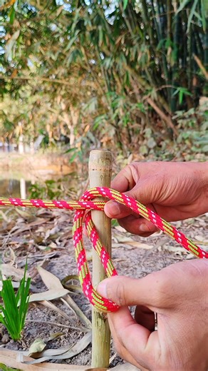 Top Strongest Rope Knot for Camping & Outdoor Use