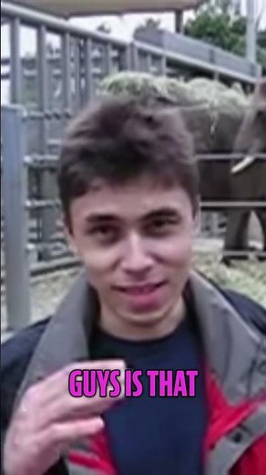 Elephants: Amazing Facts About Their Long Trunks!