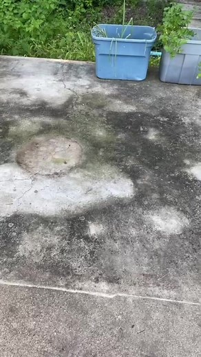 @chixy38 has solved her mold and mildew problem with RMR-86! 👍🏼 Click the link in our bio or visit rmrsolutions.com to grab your RMR products now ☝🏼 ⁠ #rmr #rmrsolutions #mold #moldremoval #moldremediation #homecleaning | RMR Solutions, LLC