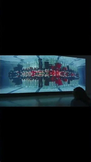 Watching an Underwater Ballet on a Giant Screen