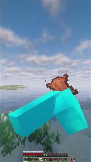 How to inspect ANY item with punchy in minecraft!