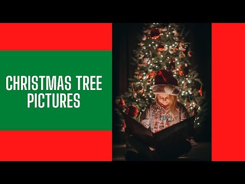 Christmas Tree Photoshoot Ideas - Indoor Photography