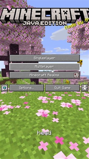 Why do YOU keep asking this on my earth smp?!