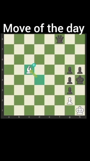 Move of the day#chess #chessmaster #chesslover #chesslife #chesspuzzle #checkmate #chesstime | Sudar Shan
