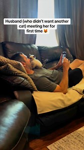 We love our #siamesecats over here! #siamesecatlovers #siamesecat #siamesekitten #cats | The Bitter Herbalist