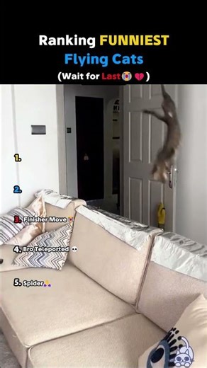 Ranking FUNNIEST Flying Cats😭 #viral #shorts #funny