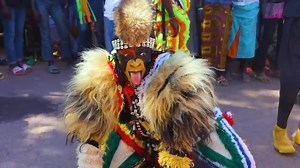 THE FESTIVAL STARTS TODAY! A week of culture, rhythm, history, tradition and community From today, December 25, 2025 to January 1, 2026, you are invited to the Banjul Cultural Festival, a vibrant celebration of Gambian heritage, culture, and community. The streets of Banjul will come alive with masquerade parades, traditional Fanal nights, Gambian wrestling, and exciting regatta boat races. Fitness events and grand New Year celebrations will round off the week with unforgettable energy. This fes