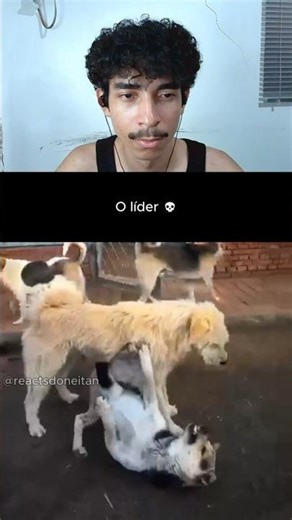 a definição de respeito 💀 #edits #shorts