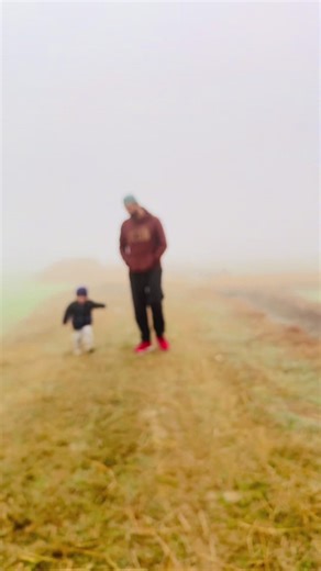 Understanding GM: Key Features and Benefits