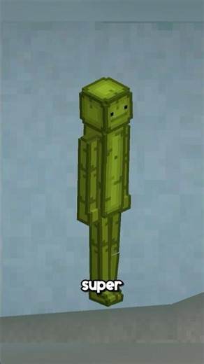 Top 3 Mods New Mods In Melon Playground!